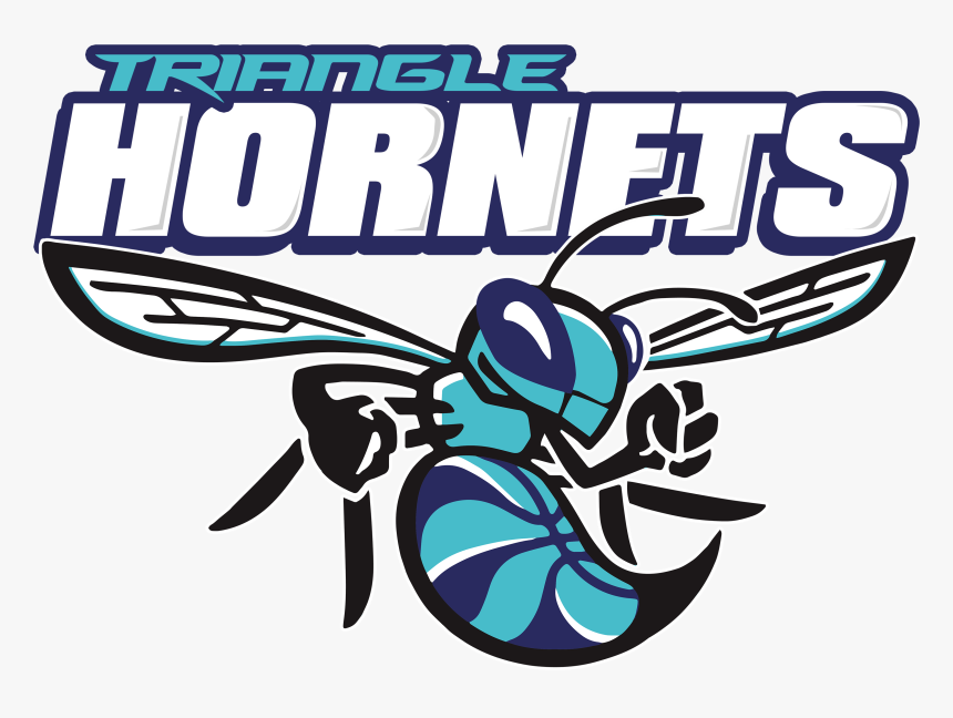 Charlotte Hornets, HD Png Download, Free Download