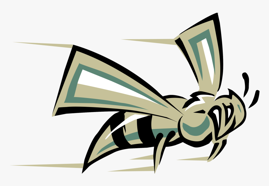 Transparent Free Hornet Mascot Clipart - Sacramento State University Mascot, HD Png Download, Free Download