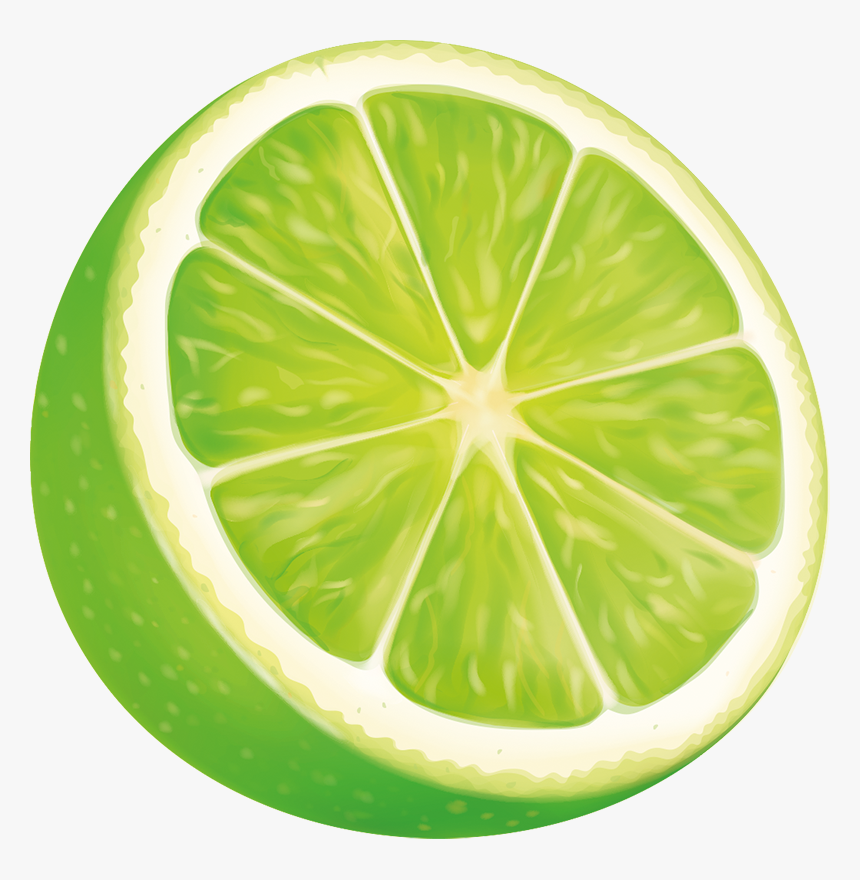 A Sliced Lime Wedge - 果物 イラスト ライム, HD Png Download, Free Download