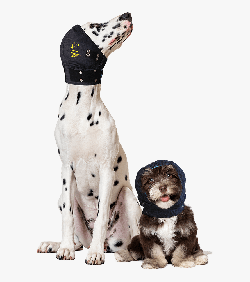 Medical Head Cover Dogs, HD Png Download, Free Download