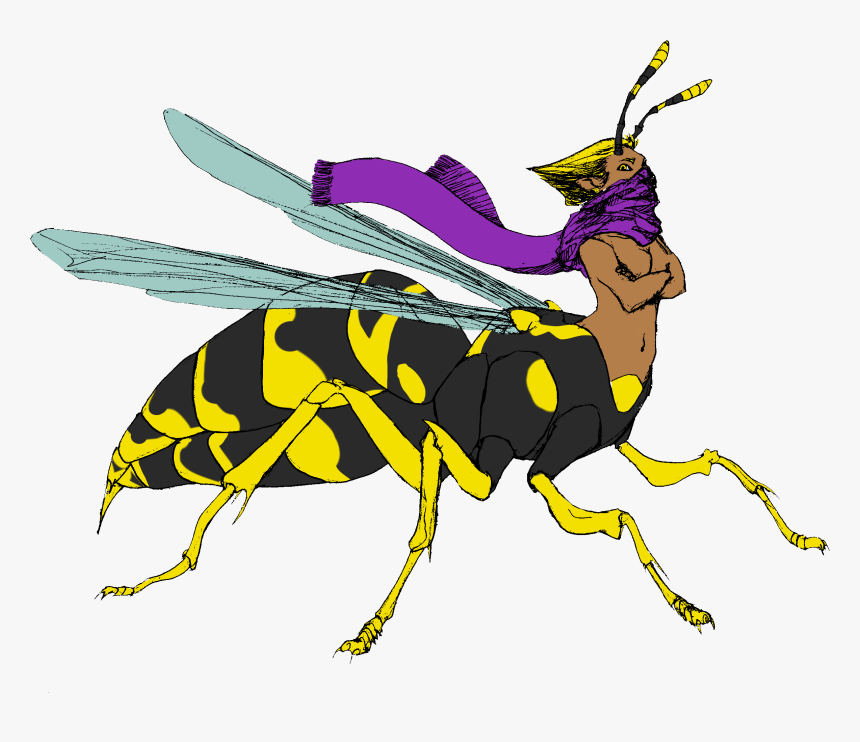 Hornet , Png Download - Hornet, Transparent Png, Free Download