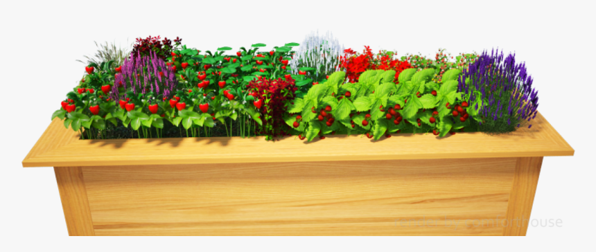 Transparent Flower Bed Png - Flower Bed Png, Png Download, Free Download