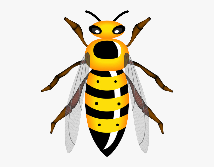 Wasp Png - Insects And Bugs, Transparent Png, Free Download