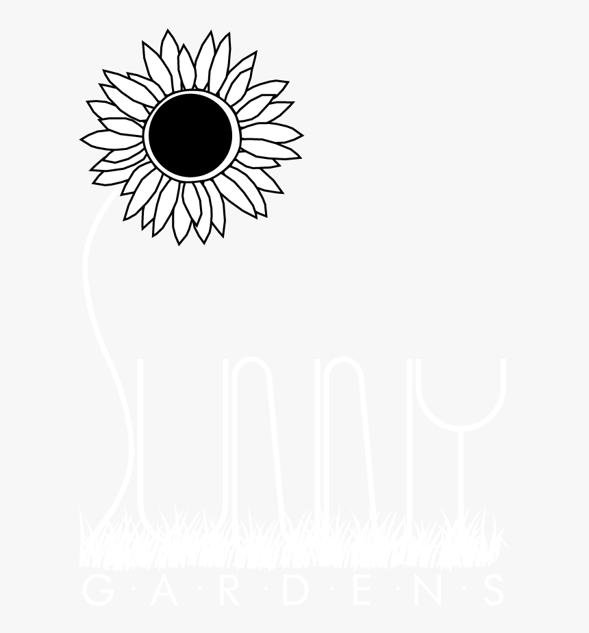 Transparent Flower Bed Png - Sunflower, Png Download, Free Download