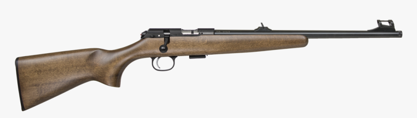 Ruger 10 22 Takedown Mica, HD Png Download, Free Download