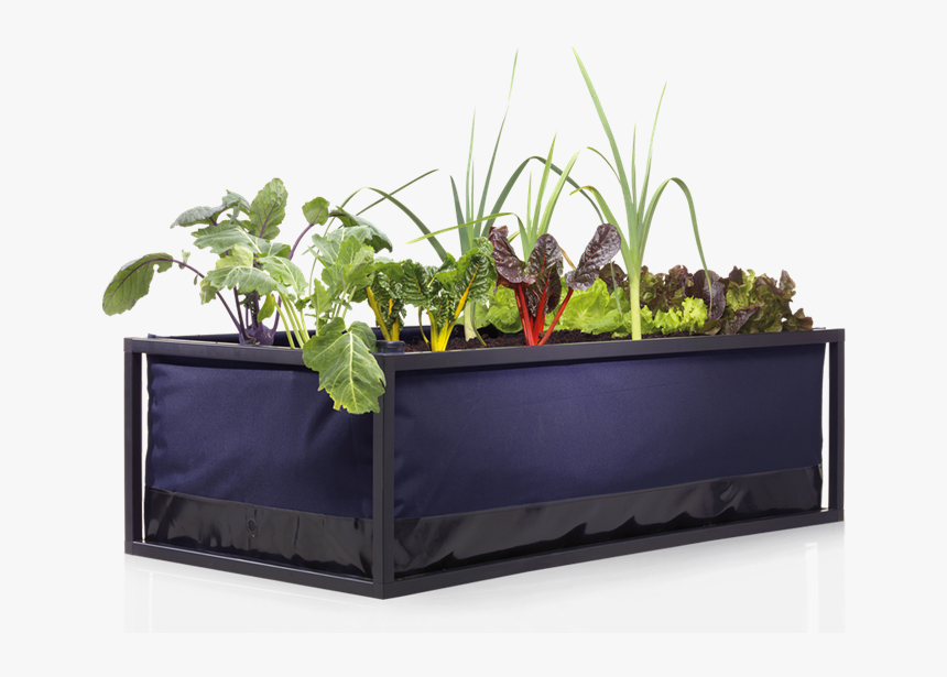 Urban Farms Transparent, HD Png Download, Free Download