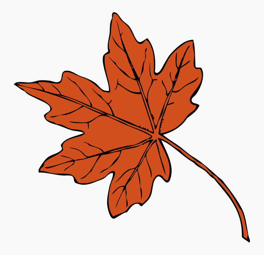 Maple Leaf Drawing Autumn Leaf Color Red Maple Cc0 - Maple Leaf Clipart, HD Png Download, Free Download