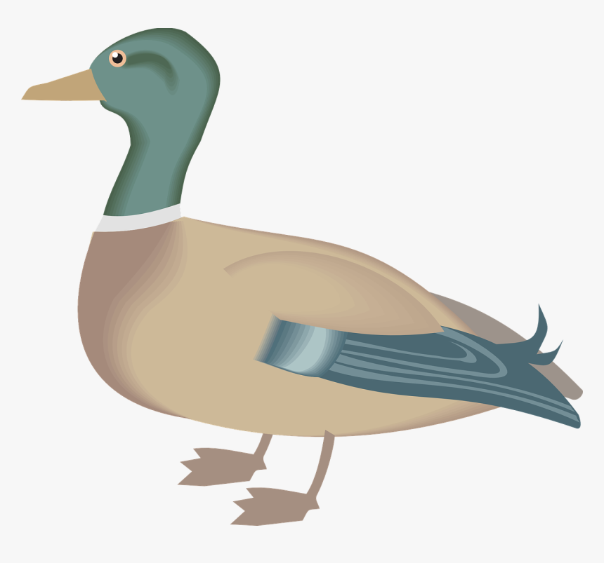 Download Free Png Gambar Vektor Gratis - Farm Animal Duck Clipart, Transparent Png, Free Download