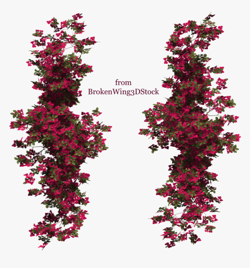 Flowers Png Top View, Transparent Png, Free Download