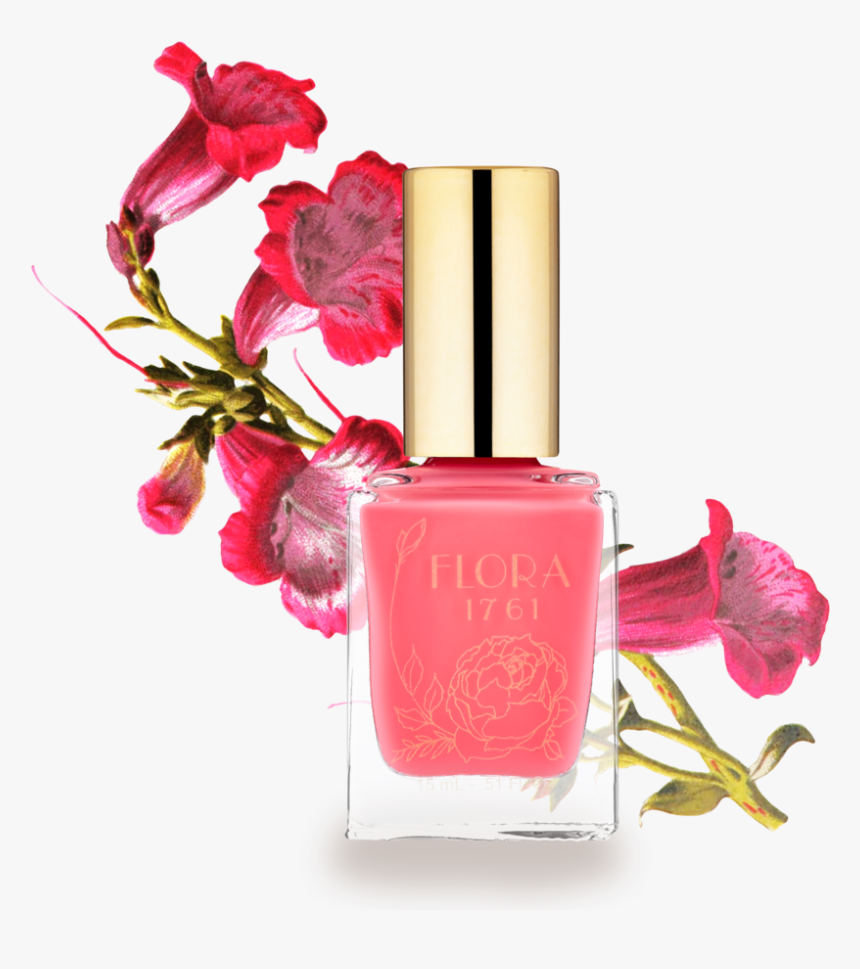 Nail Lacquer In Bougainvillea, HD Png Download, Free Download