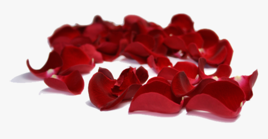 #rose #petals #falling #background #decoration - Rose Petals Flowers Png, Transparent Png, Free Download