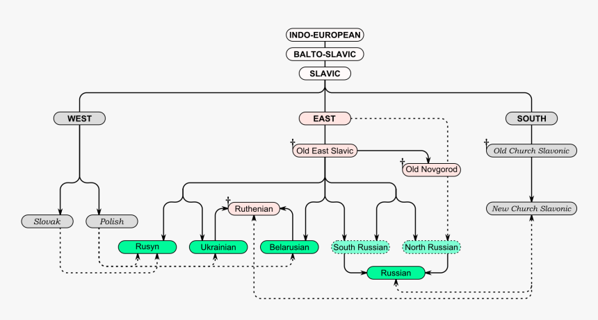 East Slavic Languages Tree En - Slavic Language Tree, HD Png Download, Free Download