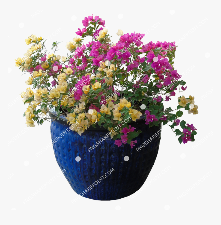 Flowerpot, HD Png Download, Free Download