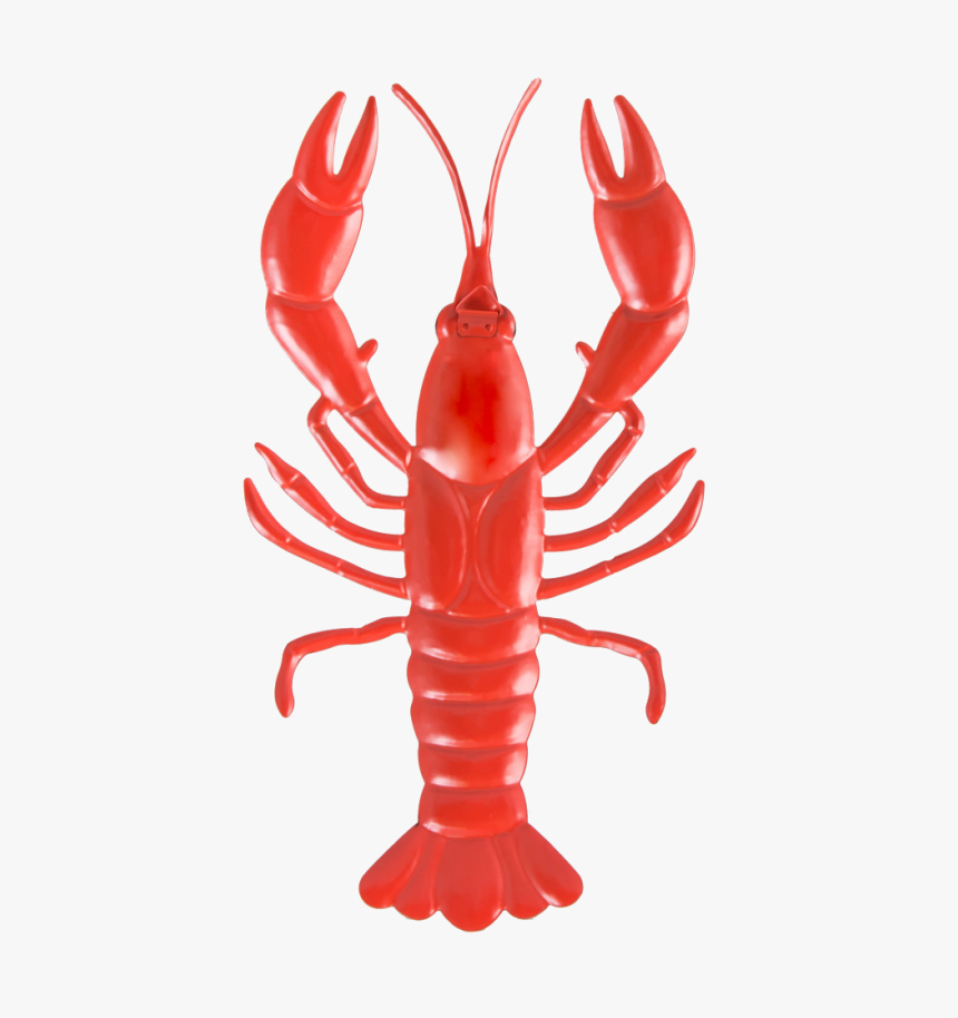 Crawfish Png Background - Bright Red Crawfish, Transparent Png, Free Download