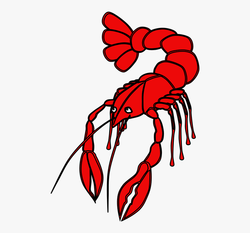 Crayfish, Red, Lobster, Animal, Crustaceans, Seafood - Crawfish Clipart, HD Png Download, Free Download