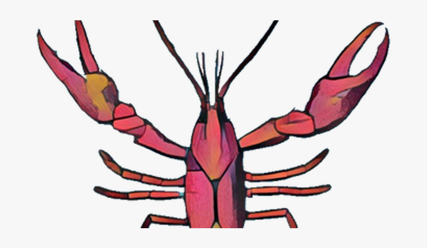 Lobster Clipart Crawfish Boil, HD Png Download, Free Download