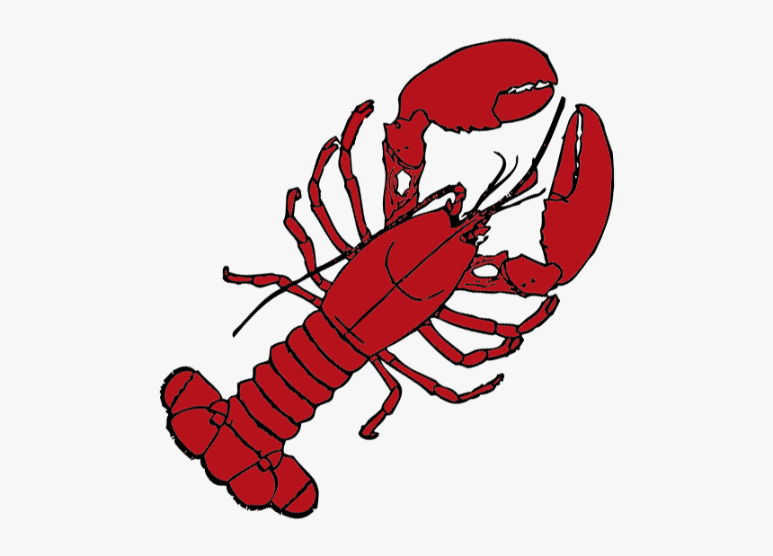 Lobster Drawing Png, Transparent Png, Free Download