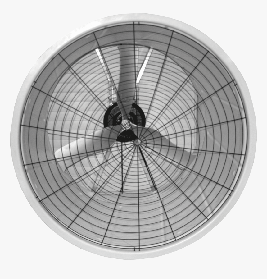 Polar Graph In Degrees, HD Png Download, Free Download