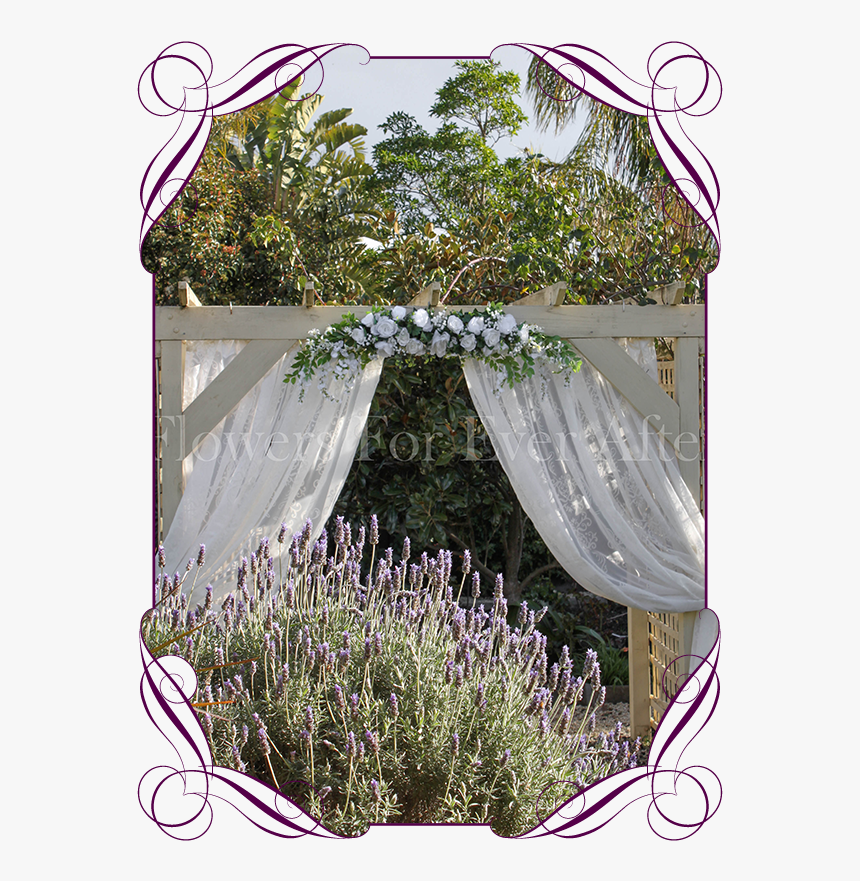 English Lavender, HD Png Download, Free Download