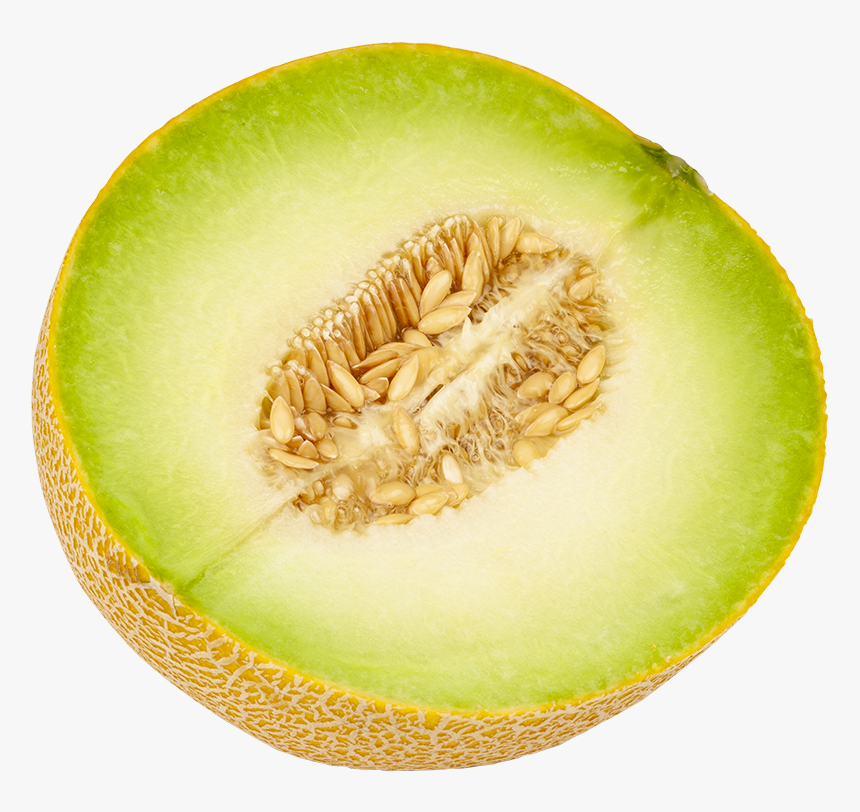 Honeydew, HD Png Download, Free Download