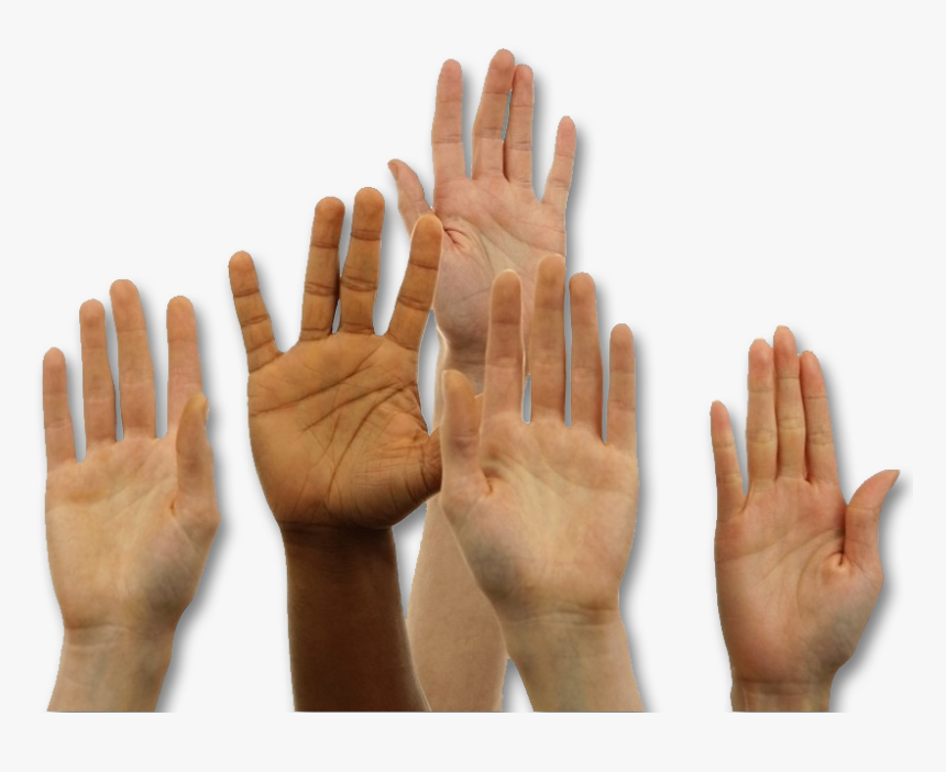 Transparent Transparent Hand Png - Show Of Hands Meme, Png Download, Free Download