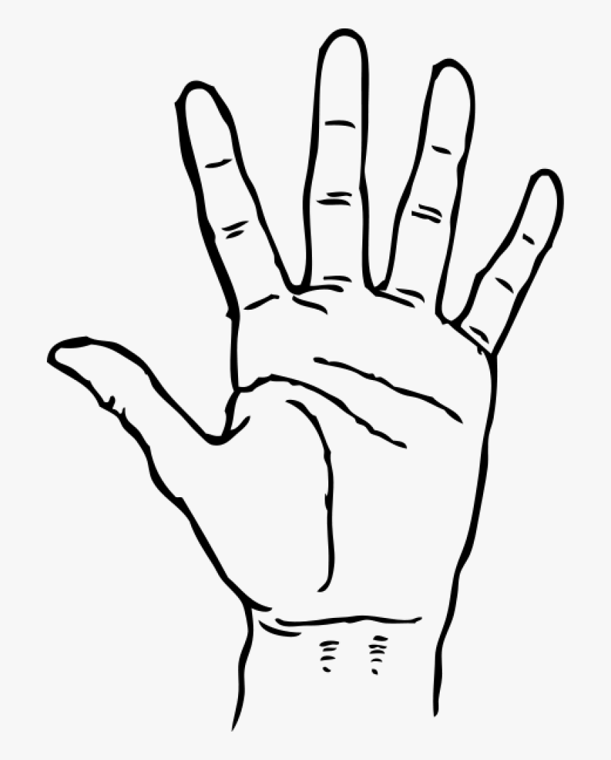 Clip Art Hand - Hand Clipart Black And White, HD Png Download, Free Download