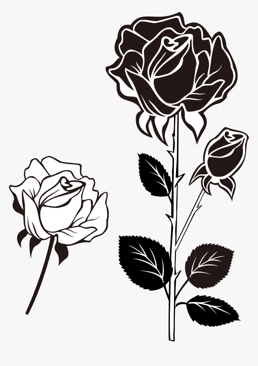 Clip Art Black And White Roses Bunga Mawar Vektor Hitam Putih Hd Png Download Kindpng