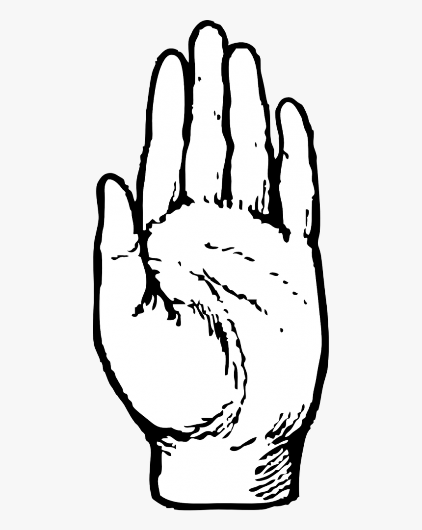 Left Hand - Left Hand Clip Art Black And White Png, Transparent Png, Free Download