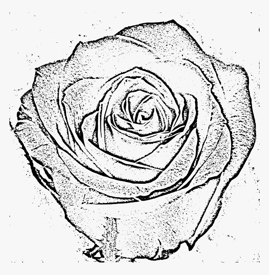 Rose - Vector Graphics, HD Png Download, Free Download