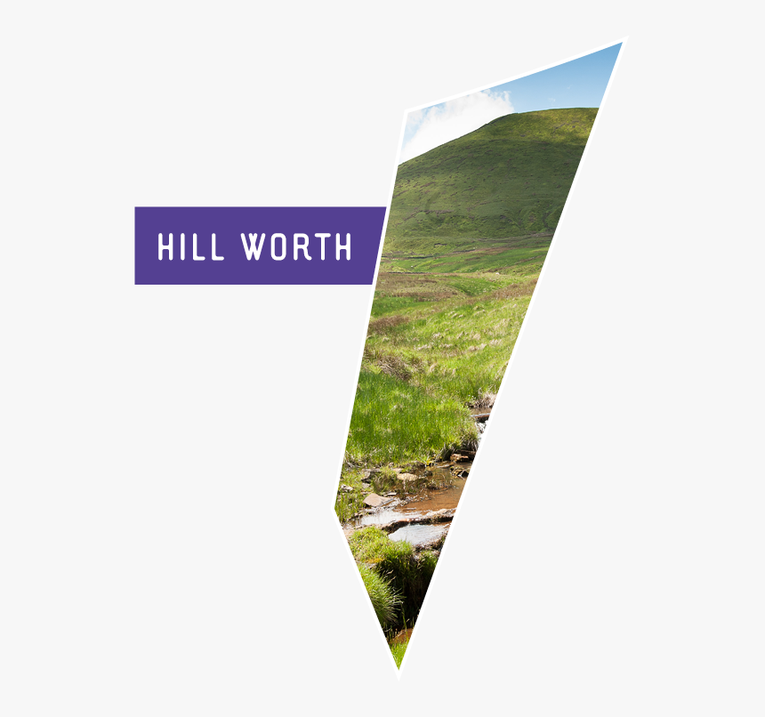 Transparent Grass Hill Png - Grass, Png Download, Free Download