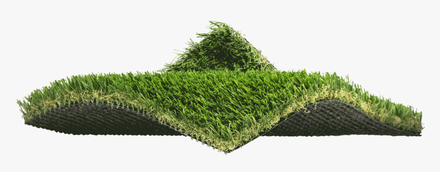 Moss, HD Png Download, Free Download