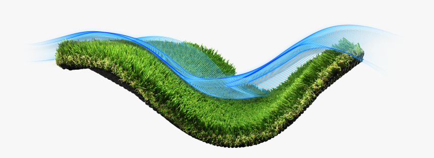 Grass, HD Png Download, Free Download