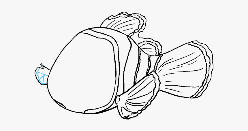 Featured image of post How To Draw Nemo Easy This app helps you create a nemo image you want by manufacturing from start to finish