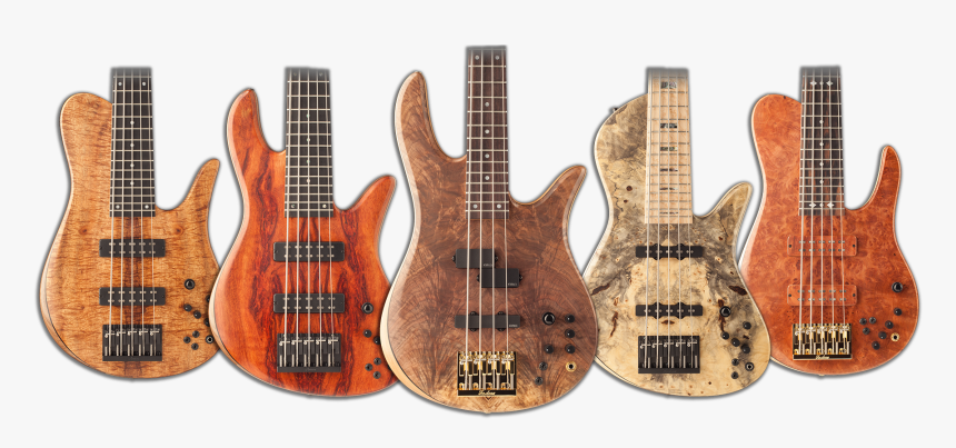 Bass Guitar Png, Transparent Png, Free Download