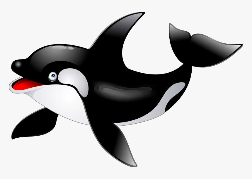 Killer Whale Png - Transparent Dolphin Border Clip Art, Png Download, Free Download