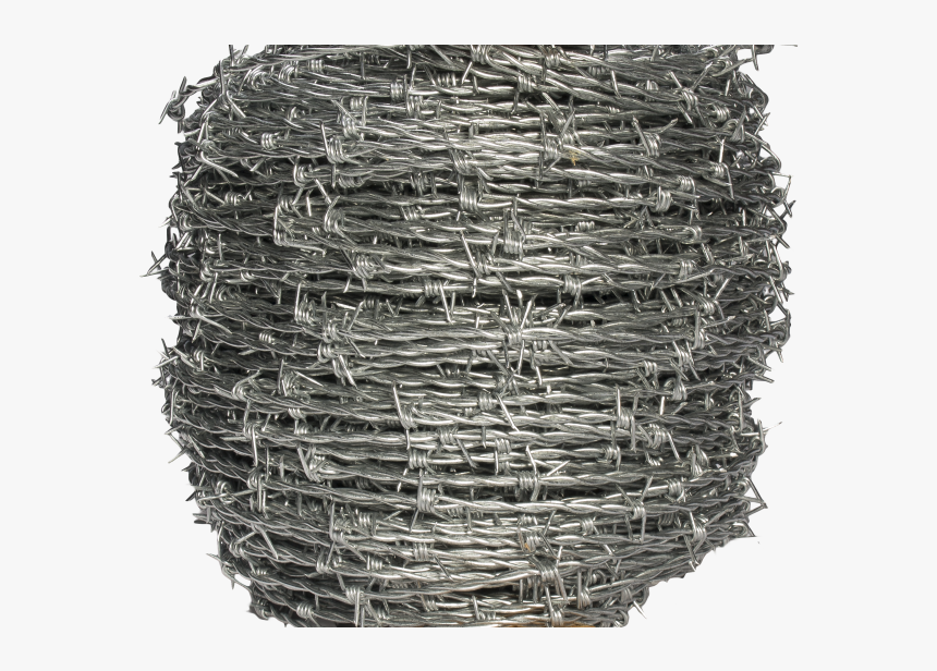 Transparent Barbed Wire Fence Png - Barbed Wire, Png Download, Free Download