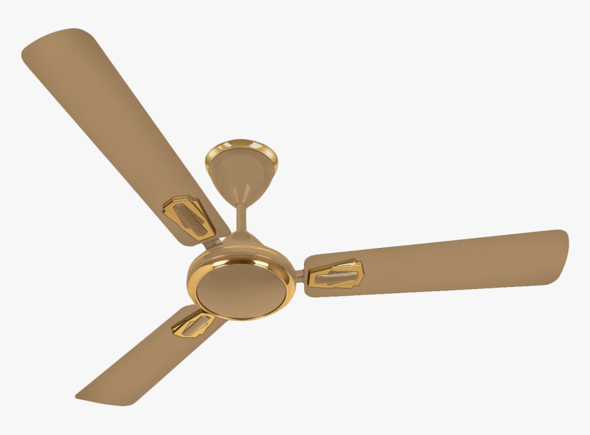 Fan Images Png, Transparent Png, Free Download