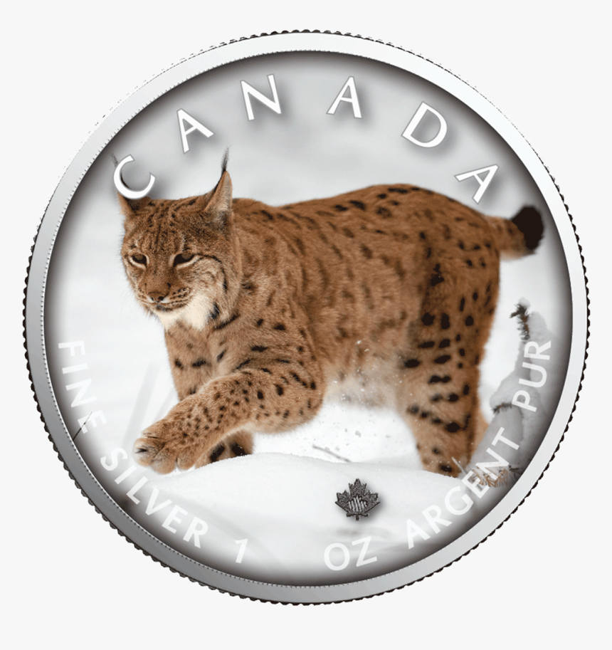 Lynx Trails Of Wildlife Maple Leaf 1 Oz - Lynx Lynx, HD Png Download, Free Download