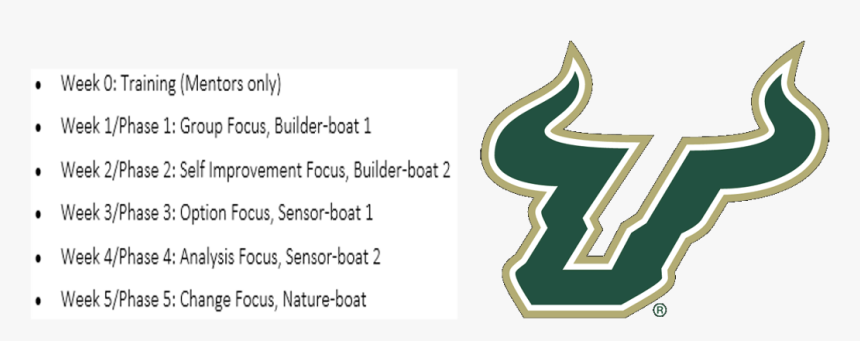 Usf Bulls Logo Png, Transparent Png, Free Download