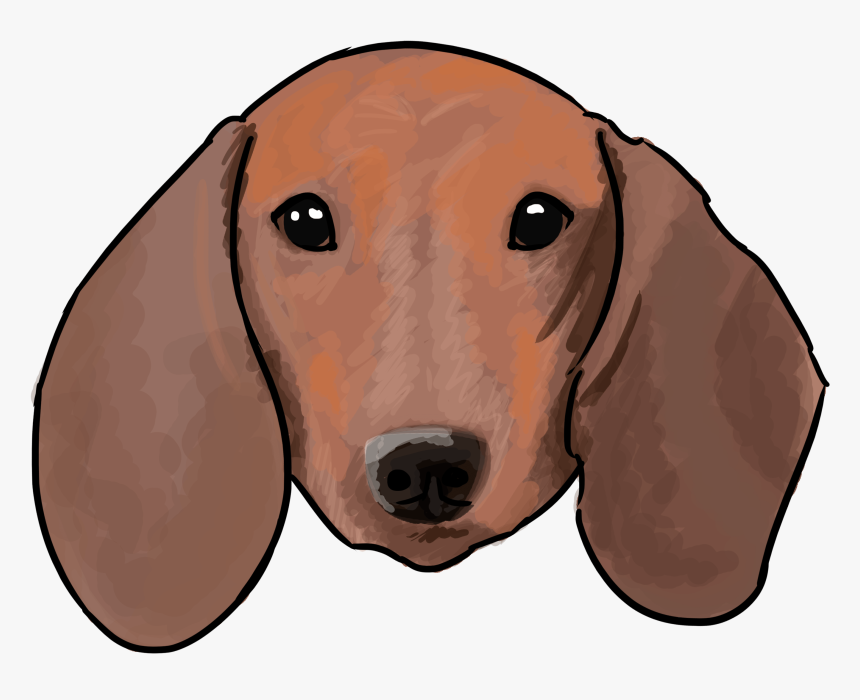 Dachshund Png - Basset Hound, Transparent Png, Free Download