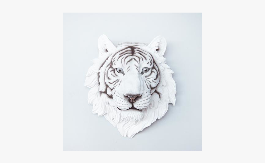 Siberian Tiger, HD Png Download, Free Download