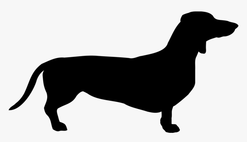 Dog, Dachshund, Breed, Pet, Coat, Doggy, The Silhouette - Dachshund Silhouette, HD Png Download, Free Download