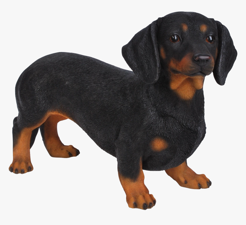 Dachshund Png - Dachshund Garden Ornaments, Transparent Png, Free Download