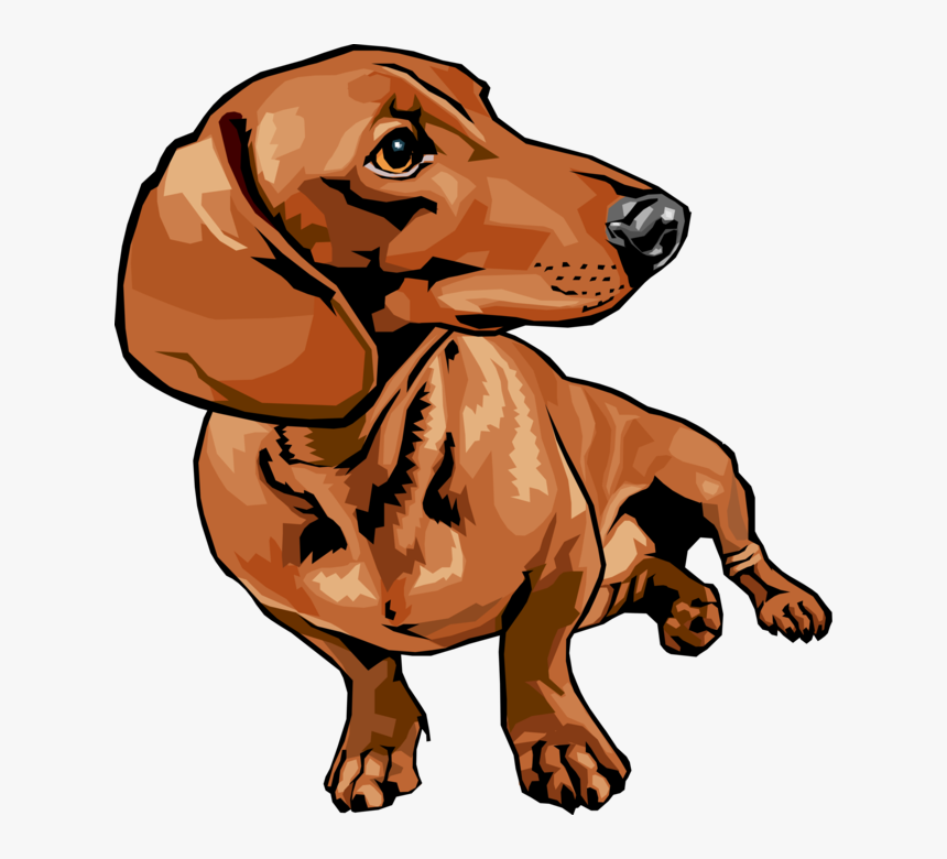 Vector Illustration Of Cute Dachshund Dog Sitting And - Dachshund Cartoon, HD Png Download, Free Download