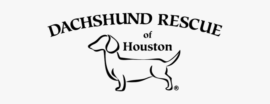Dachshund Rescue Of Houston, HD Png Download, Free Download