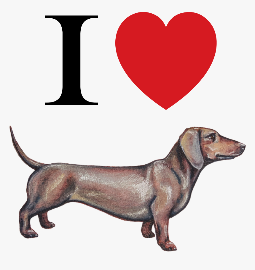 Dachshund, HD Png Download, Free Download