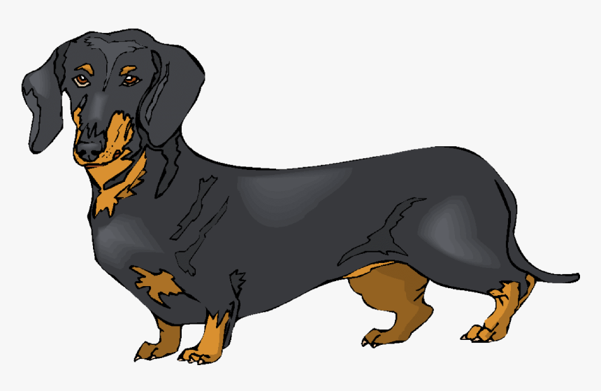 Black Clipart Dachshund - Dachshund Clipart, HD Png Download, Free Download