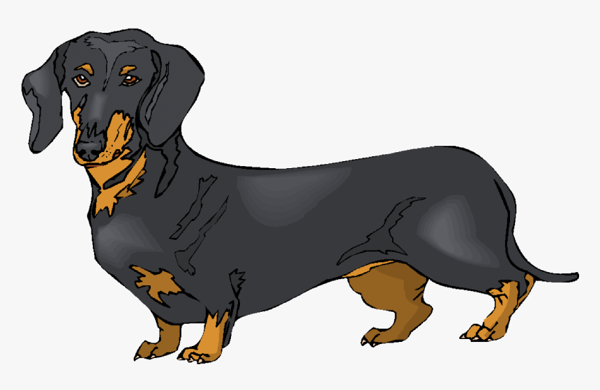 dachshund cartoon clipart