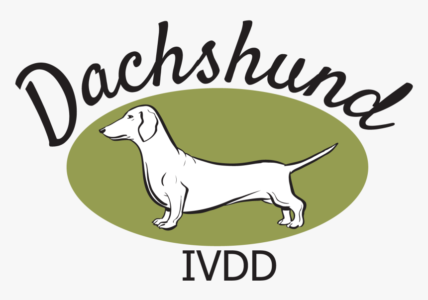 The Dachshund Breed Council Uk - Longdog, HD Png Download, Free Download