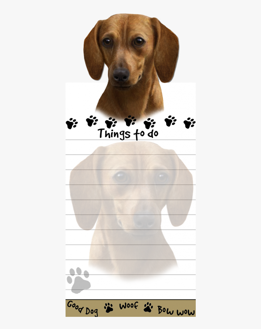 Dachshund, Red - Dog, HD Png Download, Free Download